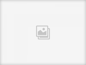 Bild wird in Kürze gezeigt